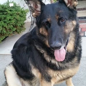 Meet your Posher, Mora